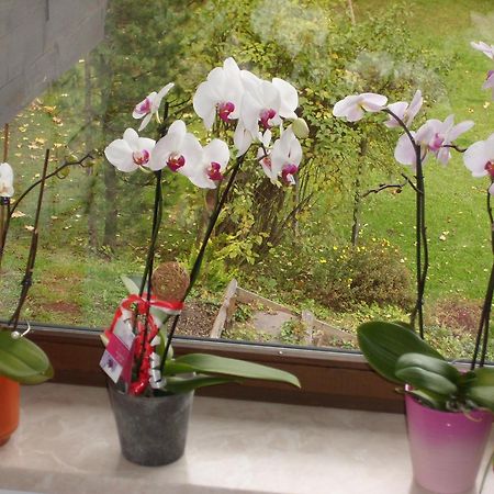 Appartements Birkenhof แบร์วัง ภายนอก รูปภาพ
